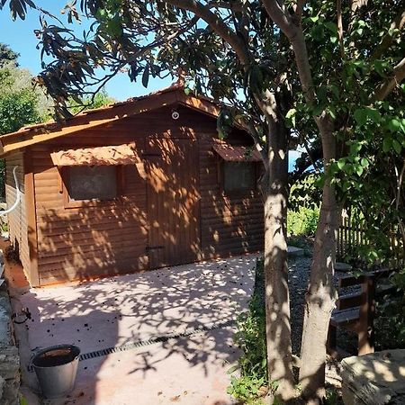 Casa Di Patouria , Stenies Andros Apikia  외부 사진